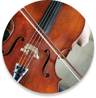 Violin