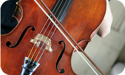 Violin